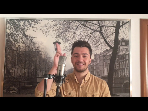 Delia feat Macanache - Ramai cu bine| cover Raymond