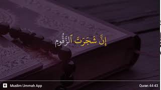 Ad-Dukhan ayat 43