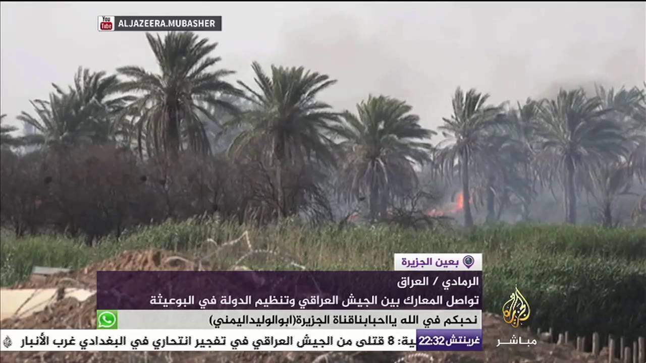 تواصل المعارك بين الجيش العراقي وتنظيم الدولة في البوعيثة