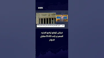 توقعات فيتش لأسعار الفائدة والجنيه المصري 