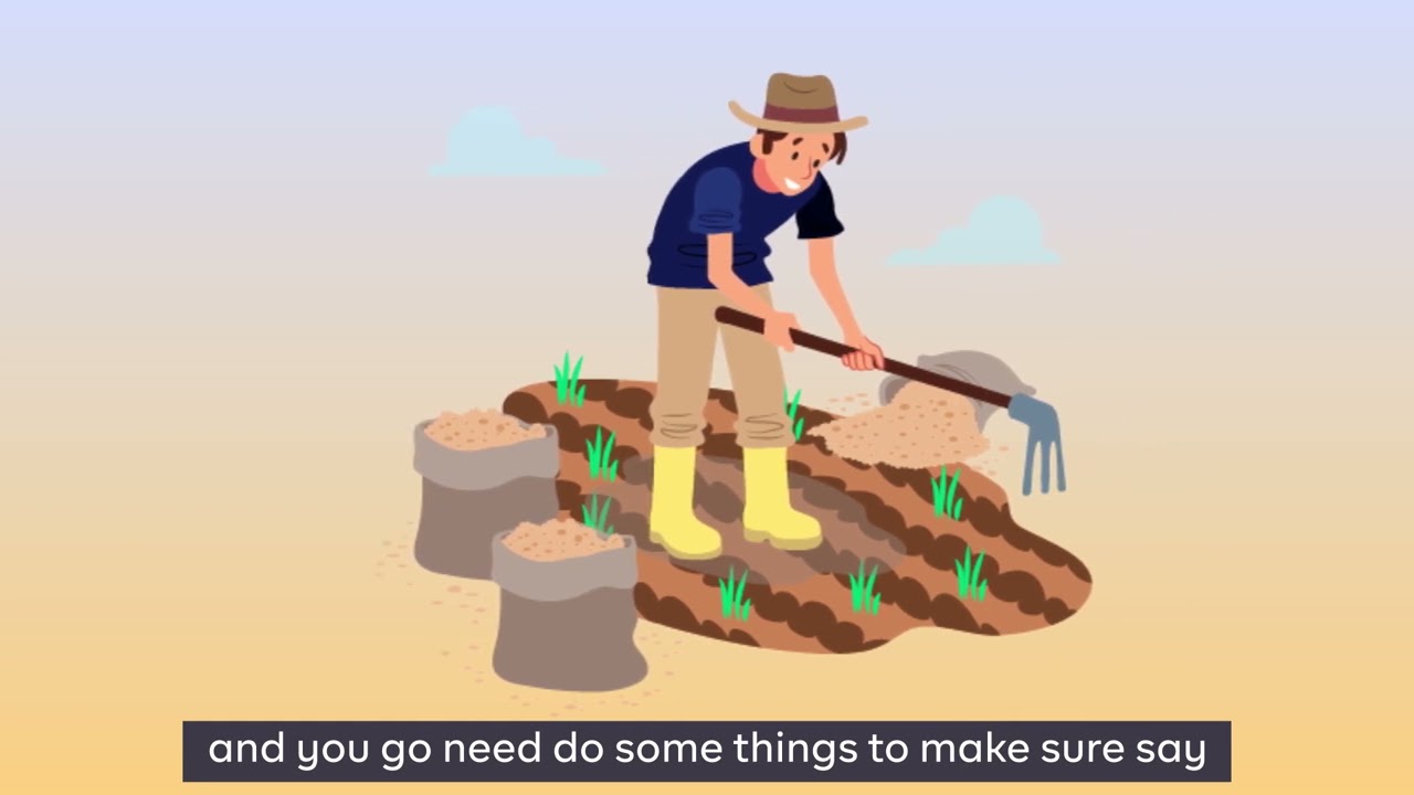 PIDGIN: PRE-PLANTING OPERATIONS FOR GRAIN CULTIVATION