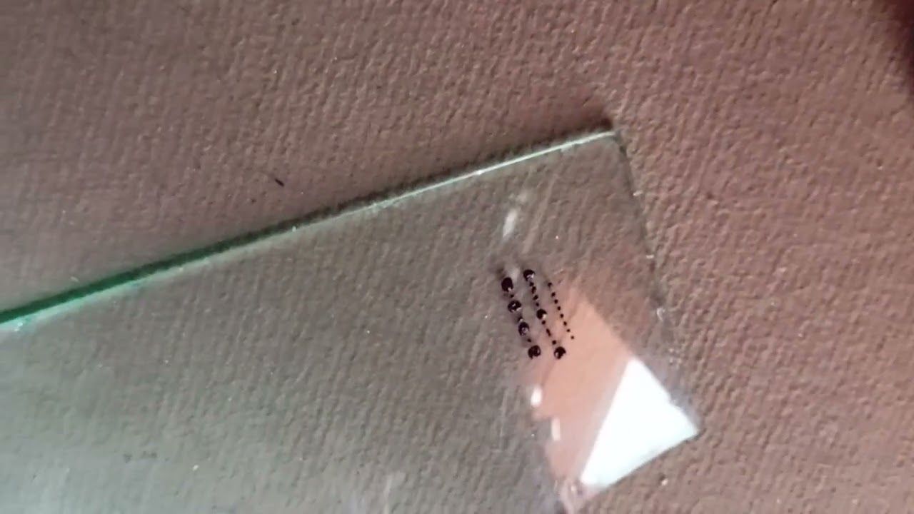 Mhndi basic course mn dot lgany Ka treeka