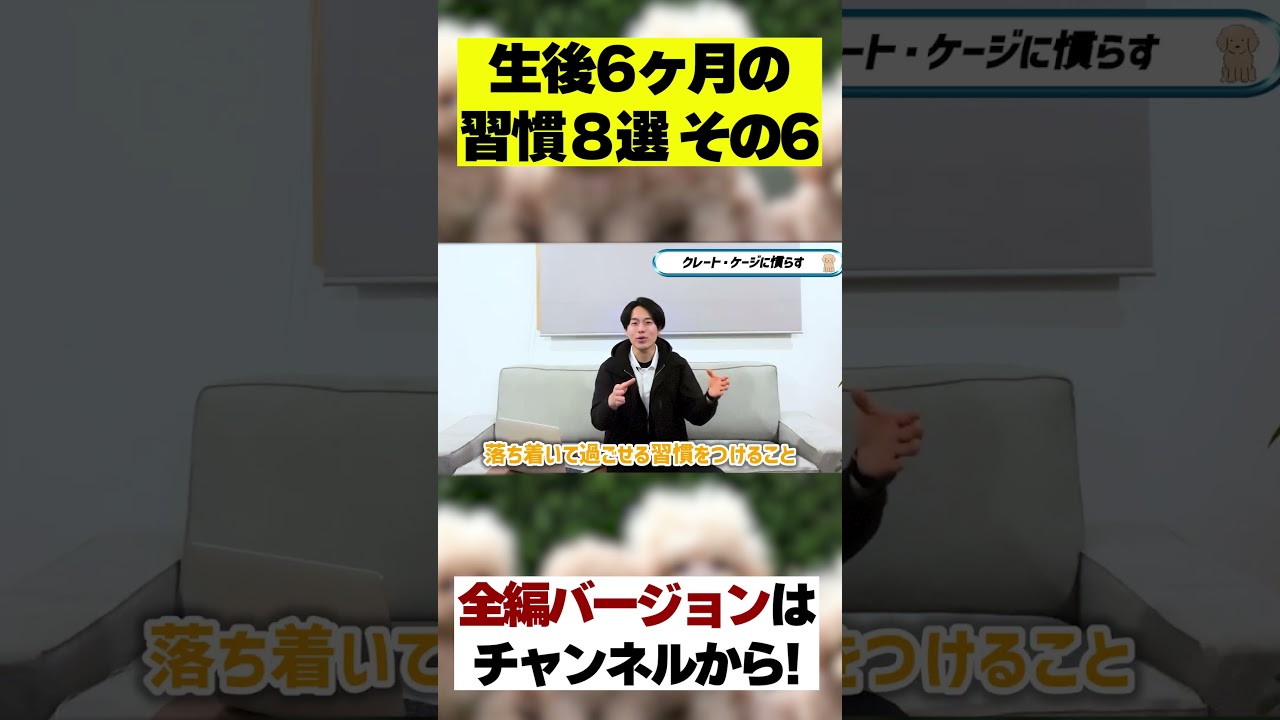 公式動画｜移動前に知っておきたいハウスの基本（公式YouTube動画のサムネイル）