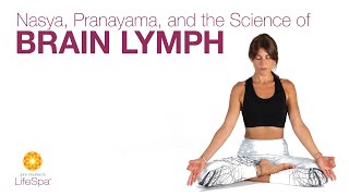 Nasya, Pranayama, and the Science of Brain Lymph | Dr. John Douillard's LifeSpa