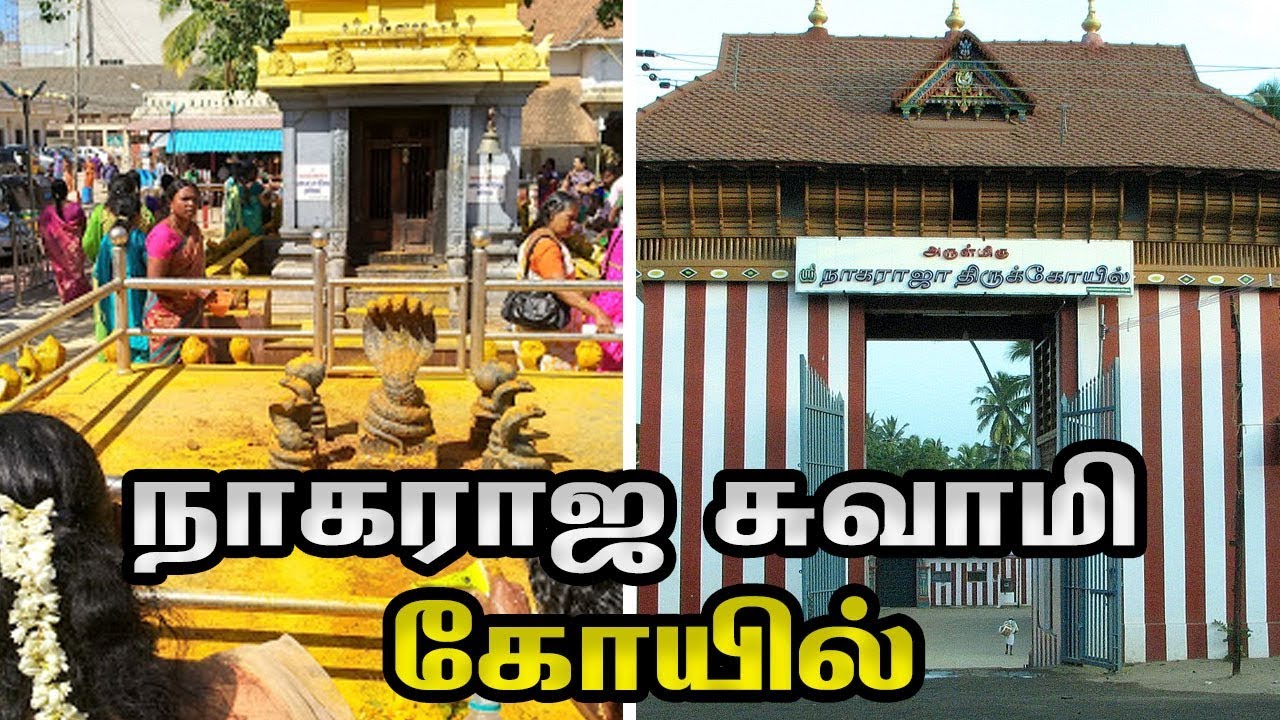 Sri Nagaraja Swami Temple Nagercoil Tamilnadu | History of Nagaraja Temple in Nagercoil