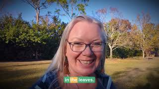 Navigating with Trees: A Mindful Walk for Reading Direction in Nature