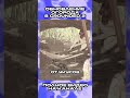80 ЧАСОВ В ОГОРОДЕ II НОВОЕ ОБНОВЛЕНИЕ GROUNDED 2 часть 4