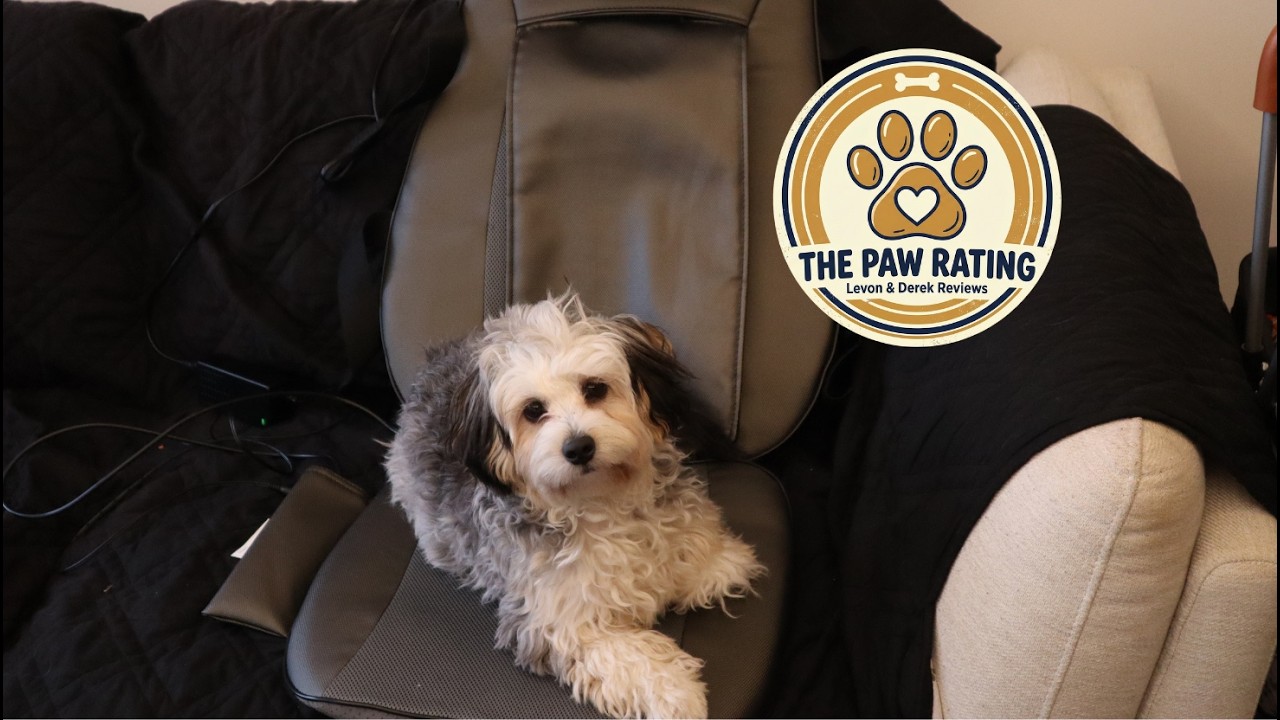 Обзор массажера для спины Snailax: защищен ли он от щенков? (Рейтинг от The Paw Rating)