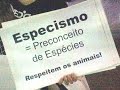 Festa Julina Vegana - 03.7.2016