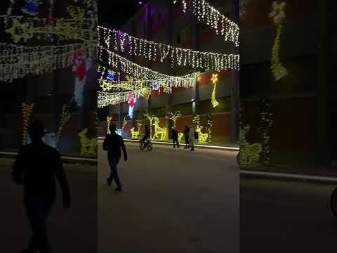 الطقس حلو حوينتو شارع شكري القوتلي