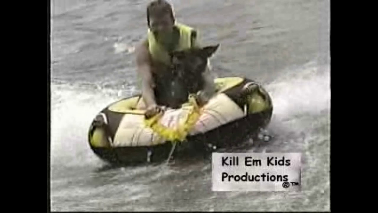 Tubing Puppy YouTube