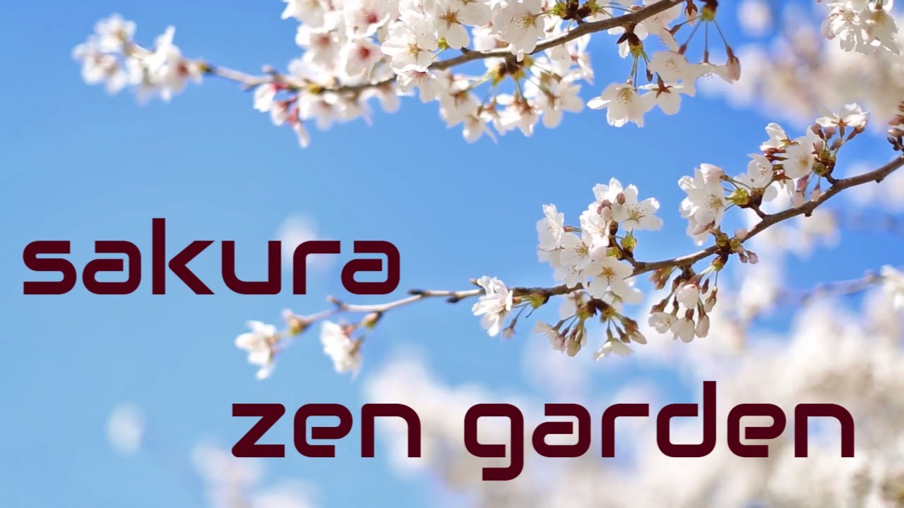 Relaxing Japanese Sakura Zen Garden Ambience For Deep Sleep Youtube 