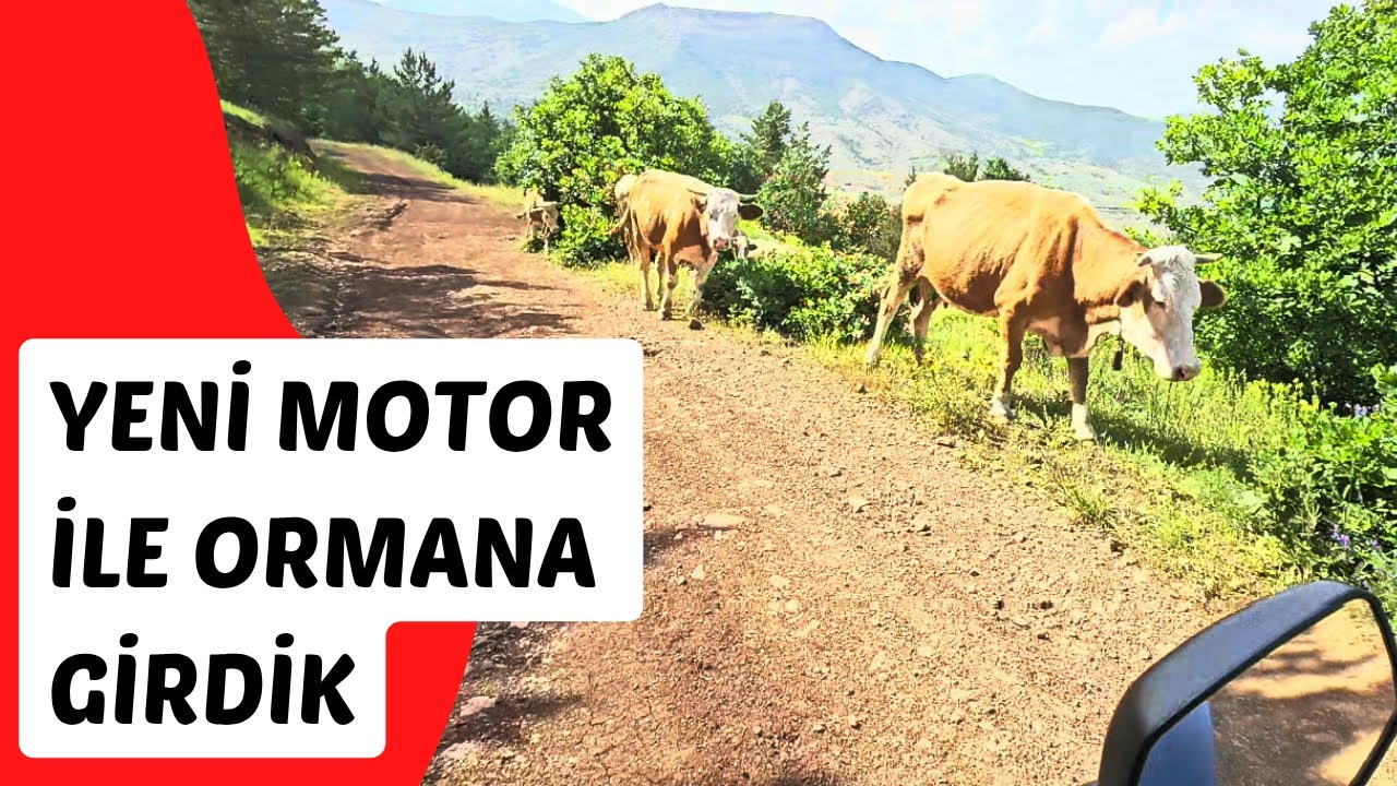 YENİ MOTOR RKS 125N İLE ORMANIN DERİNLİKLERİNE GİRDİK #motovlog  #rks125n #samsungs23 #karadeniz