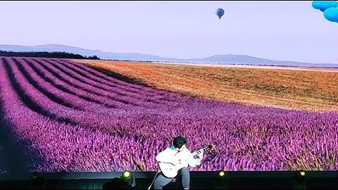 Giai điệu tuổi hồng 2022 - độc tấu ghi ta đặc sắc