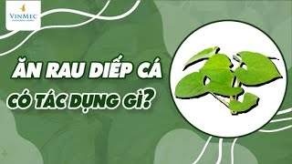 Rau diếp cá có tác dụng gì?