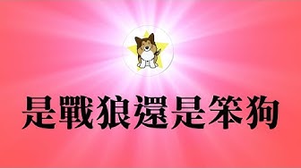 赵立坚 Youtube