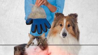 Magic Pet Grooming Glove