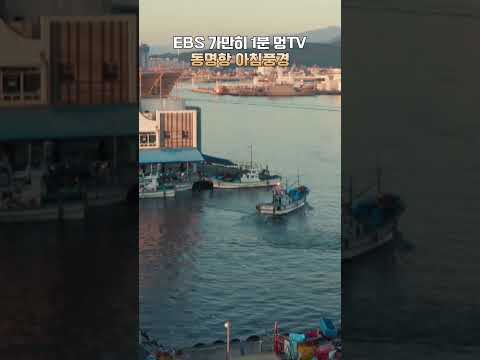 <strong>EBS</strong> 가만히 1분 멍TV 동명항 아침풍경 #<strong>shorts</strong>