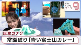 ヒットのクスリ＋９誕生のナゾ 常識破り「青い富士山カレー」【日経プラス９】（2022年12月23日）