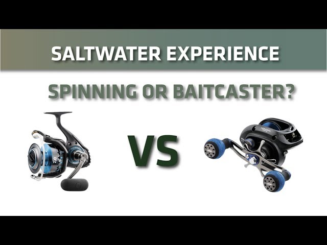 Spinning Reels or Baitcasters? 