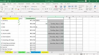 Fundamentals of Microsoft Excel Tutorial with Havron Professional Development Group Module 1 Part 4