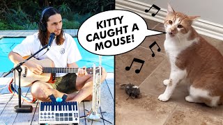 The Kiffness x Kyro (Singing Cat) - Kitty Caught a Mouse