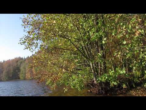 Video: Planeedi Müsteeriumid: Funduji Järv