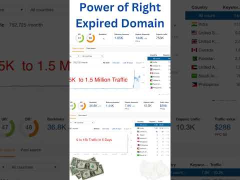 buy seo domain traffic