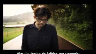 Sparklehorse - Hundreds of sparrows (Subtitulado Español)