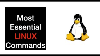 Beginner's Guide to Using LINUX shell in Raspberry Pi 5
