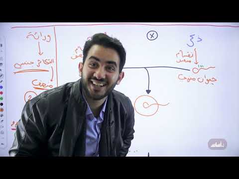 تأسيس الوراثة الجزء الأول جيل 2007 أحياء مع أ محمد بطاينة