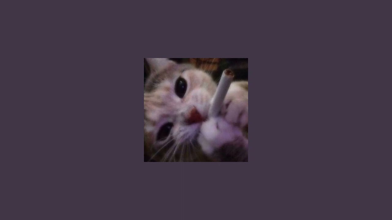 inside out - duster x markiplier