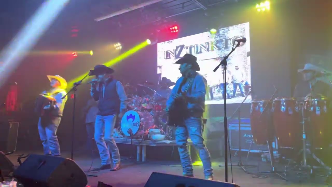 Bonita ( los dorados cover ) Grupo Inztinkto YouTube