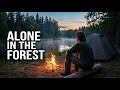 Relaxing Solo Camping by the River | Rain, Campfire & Forest Sounds