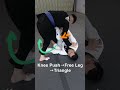 デラヒーバ→バックテイク（三角ロック）　De La Riva to Back Take (Triangle Leg Control)