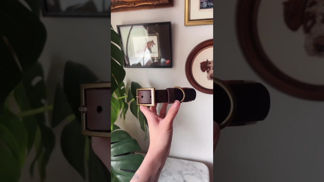 FoxMoth Sedona Dog Collar | 100% Handmade in the USA | Small Business