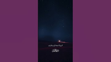 سورة النمل | عبدالرحمن مسعد