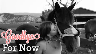 Goodbye Penelope - Leaving my Heart Horse
