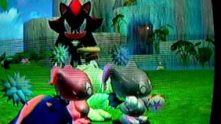 My Soon To Be Chaos Chao Garden (2-23-2010)