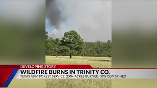 Residents in part of Trinity County asked to evacuate, road closures expected due to 300-acre fire