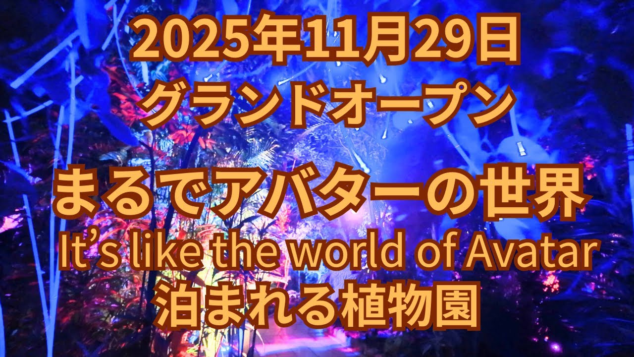 (vlog）茨城県那珂市に「ザ・ボタニカルリゾート林音」がグランドオープン。泊まれる体験型植物園として生まれ変わりました。施設内を全部見せます。夜の熱帯植物館はアバターの世界です。