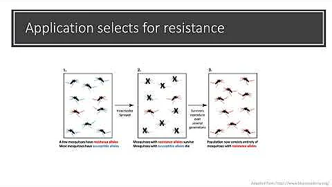 Evolution of pyrethroid insecticide resistance in ...