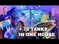 HOUSE TOUR - *private aquariums* with luxury animals + REEF TANK UPDATE -  unique!