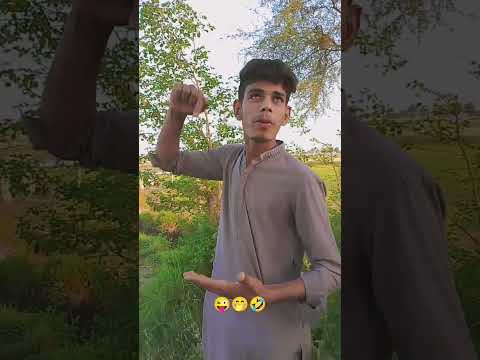zinda jhala dalo