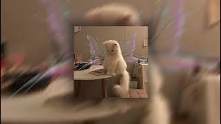 I Wanna Be Saved ~ E-40 (sped up)