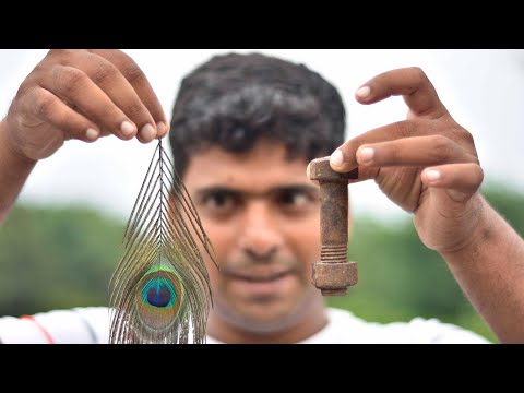 Experiment  पंख  और  लोहे   का  कमाल  ( Vacuum Chamber)