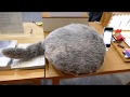ユカイ工学 しっぽクッションロボ Qoobo CEATEC 2017