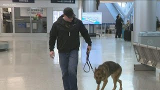 Retired Marine from Orchard Park adopts his military working dog