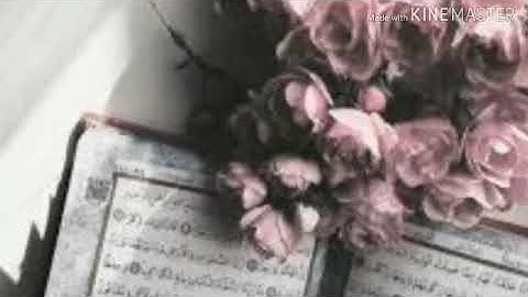 سورة الزمر "وسيق الذين اتقوا ربهم إلى الجنه زمرا " 💚