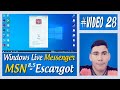 MSN 8.5 Windows Live Messenger Escargot